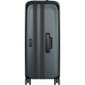 Чемодан VICTORINOX SPECTRA 3.0 EXPANDABLE LARGE CASE Большой 653158