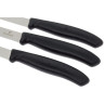 Набор кухонных ножей VICTORINOX SWISSCLASSIC PARING SET 6.7113.3G