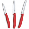 Набор ножей VICTORINOX SWISS CLASSIC 6.7111.34C1