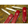 Нож-брелок VICTORINOX CLASSIC SD 0.6223.G