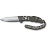 Нож охотника VICTORINOX HUNTER PRO ALOX LE 2022 0.9415.L22