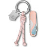 Складной нож VICTORINOX CLASSIC SD PARIS STYLE 0.6223.E221