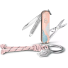 Складной нож VICTORINOX CLASSIC SD PARIS STYLE 0.6223.E221