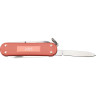 Складной нож VICTORINOX CLASSIC SD STONE RED 0.6221.L25