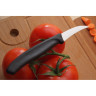 Нож для резки и чистки VICTORINOX 6.7503