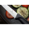 Нож для стейка VICTORINOX 6.7233