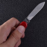 Нож VICTORINOX SPORTSMAN 0.3803