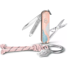 Складной нож VICTORINOX CLASSIC SD PARIS STYLE 0,6223.E221